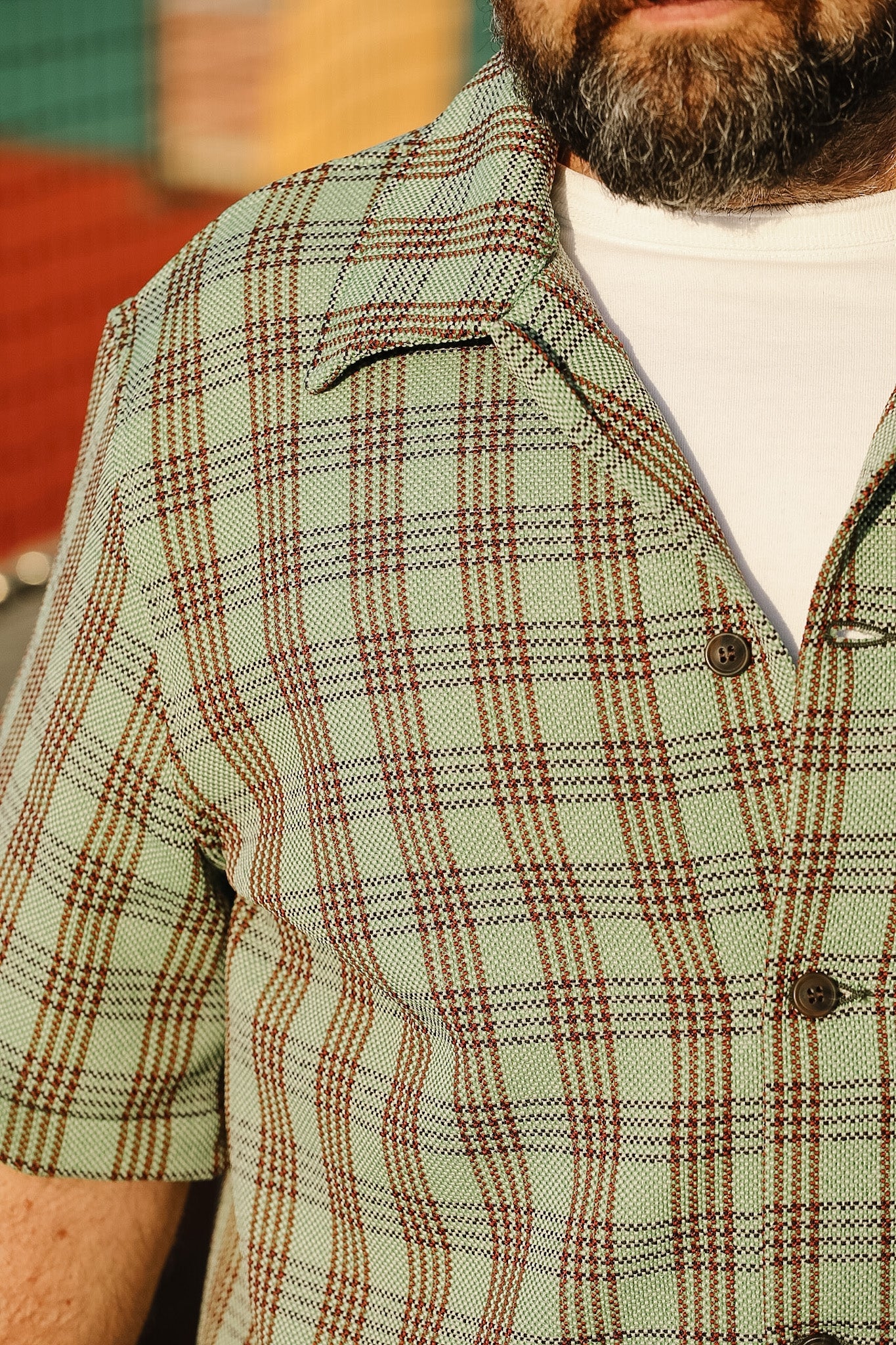 Close-up of a person wearing a green plaid shirt with a blurred background