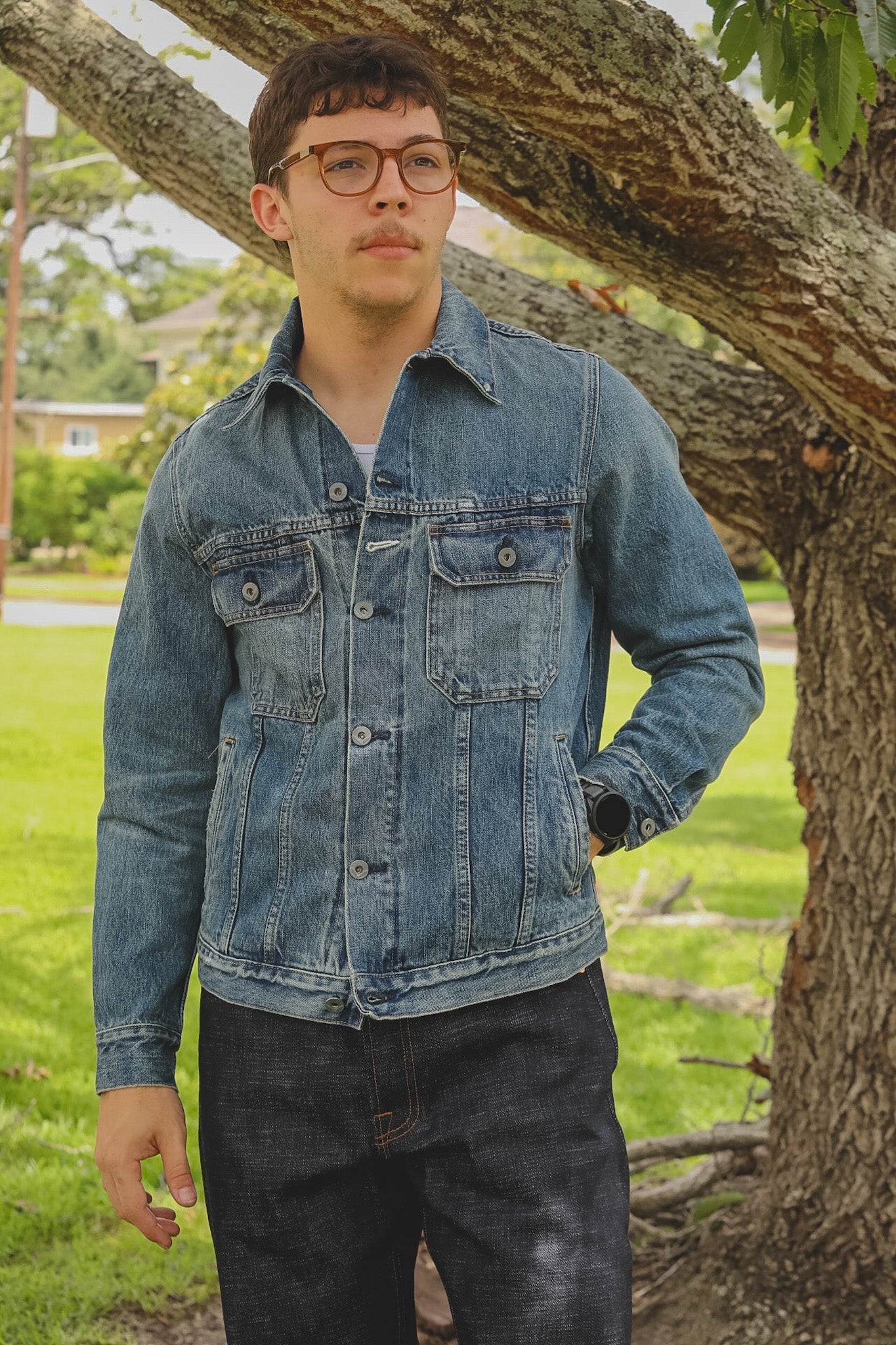 Person wearing a denim jacket standing under a tree in a park-like setting