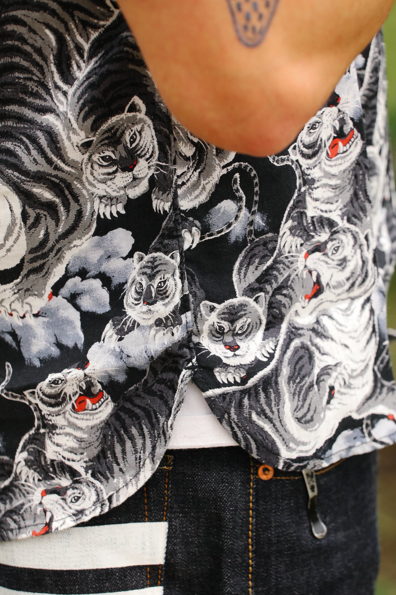 Person wearing a shirt with tiger print