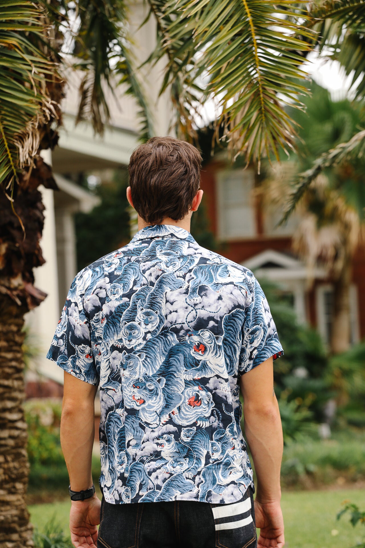 Person wearing a blue and white patterned shirt standing in a garden with palm trees.