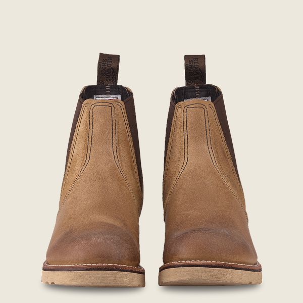 Pair of brown leather Chelsea boots with pull tabs, sturdy sole, front view on neutral background